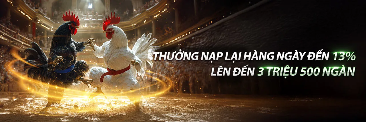 Đá gà trực tuyến gg8844 Trang Chủ 2026
